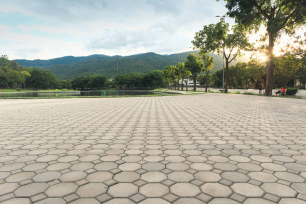 Best Paver Driveway Replacement  in Fayetteville, TN